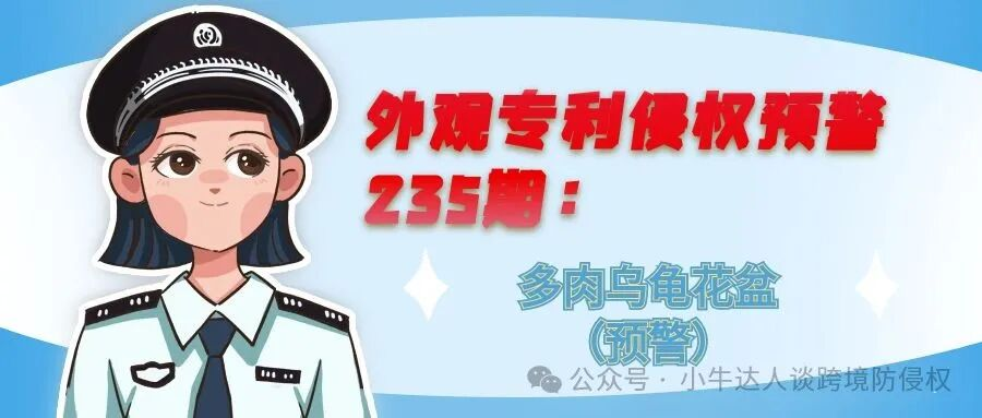 外观专利侵权预警235期：多肉乌龟花盆（预警）