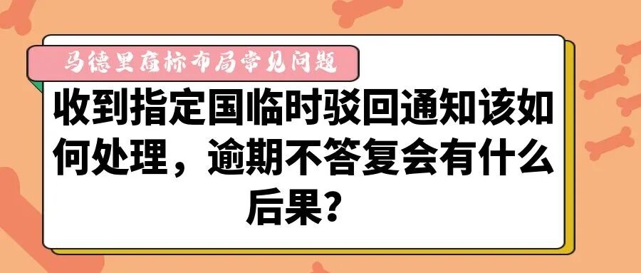 【马德里商标布局常见问题】马德里体系下他国出现商标异议，企业有哪些维权答复途径？